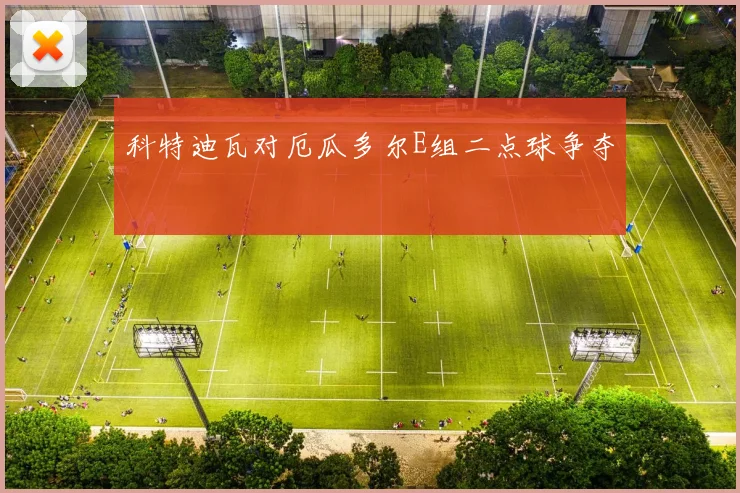 关于「科特迪瓦对厄瓜多尔E组二点球争夺」