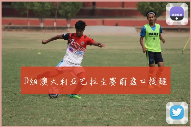 D组澳大利亚巴拉圭赛前盘口提醒
