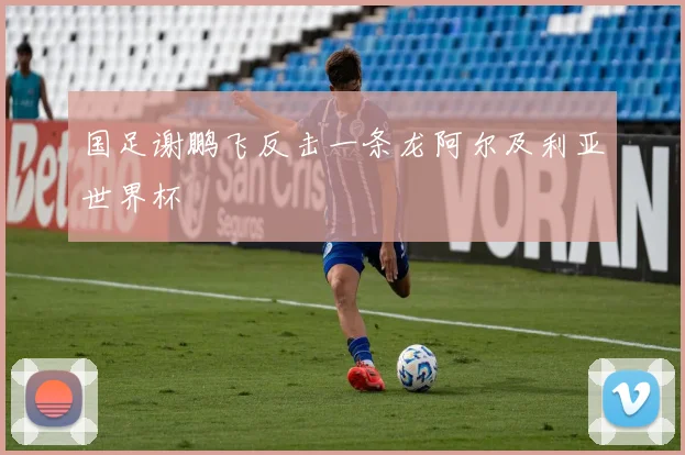 国足谢鹏飞反击一条龙阿尔及利亚世界杯