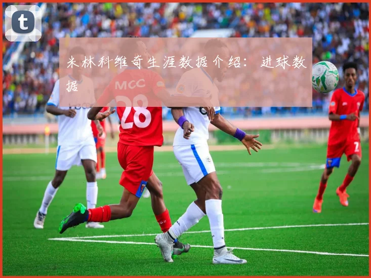 米林科维奇生涯数据介绍：进球数据