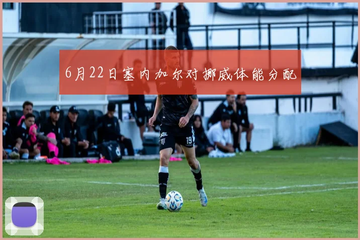 6月22日塞内加尔对挪威体能分配