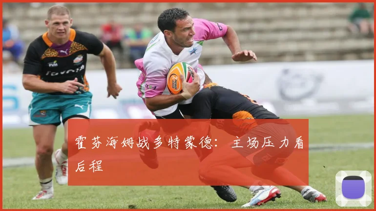霍芬海姆战多特蒙德：主场压力看后程